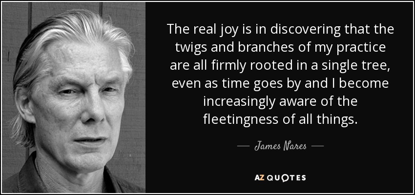 The real joy is in discovering that the twigs and branches of my practice are all firmly rooted in a single tree, even as time goes by and I become increasingly aware of the fleetingness of all things. - James Nares