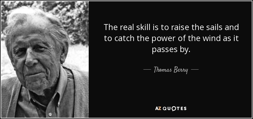 The real skill is to raise the sails and to catch the power of the wind as it passes by. - Thomas Berry