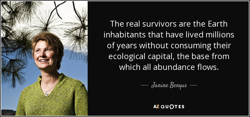 The real survivors are the Earth inhabitants that have lived millions of years without consuming their ecological capital, the base from which all abundance flows. - Janine Benyus