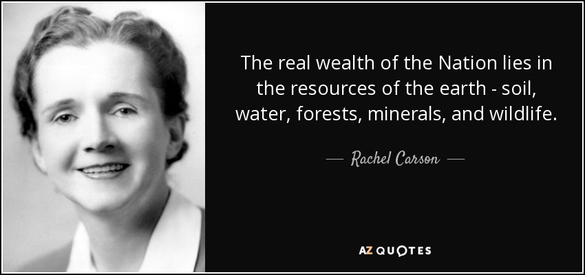 The real wealth of the Nation lies in the resources of the earth - soil, water, forests, minerals, and wildlife. - Rachel Carson