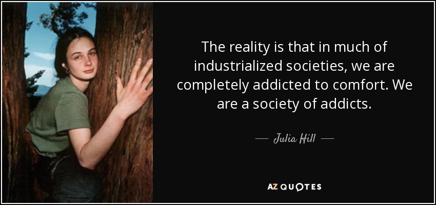 The reality is that in much of industrialized societies, we are completely addicted to comfort. We are a society of addicts. - Julia Hill