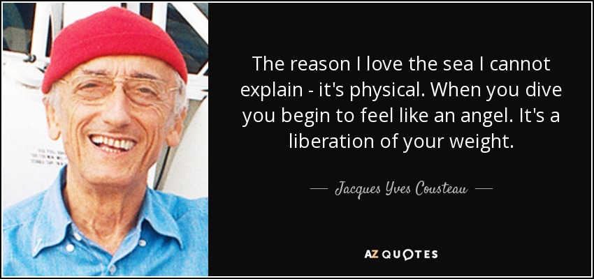 The reason I love the sea I cannot explain - it's physical. When you dive you begin to feel like an angel. It's a liberation of your weight. - Jacques Yves Cousteau