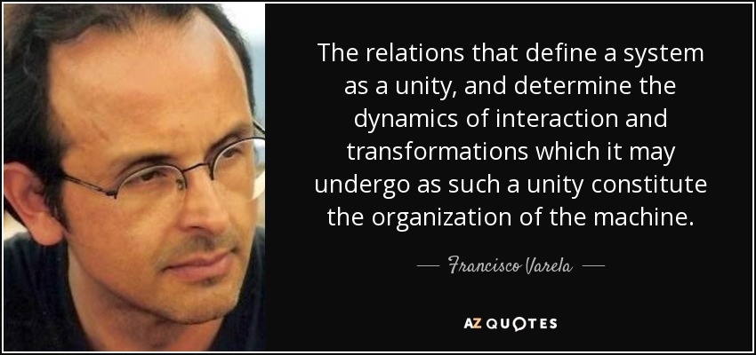 The relations that define a system as a unity, and determine the dynamics of interaction and transformations which it may undergo as such a unity constitute the organization of the machine. - Francisco Varela
