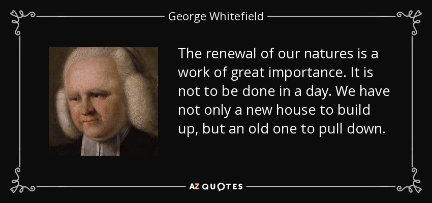 The renewal of our natures is a work of great importance. It is not to be done in a day. We have not only a new house to build up, but an old one to pull down. - George Whitefield