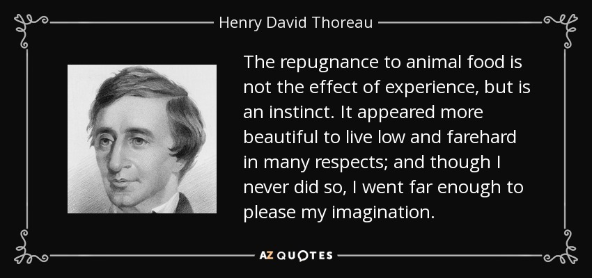 The repugnance to animal food is not the effect of experience, but is an instinct. It appeared more beautiful to live low and farehard in many respects; and though I never did so, I went far enough to please my imagination. - Henry David Thoreau