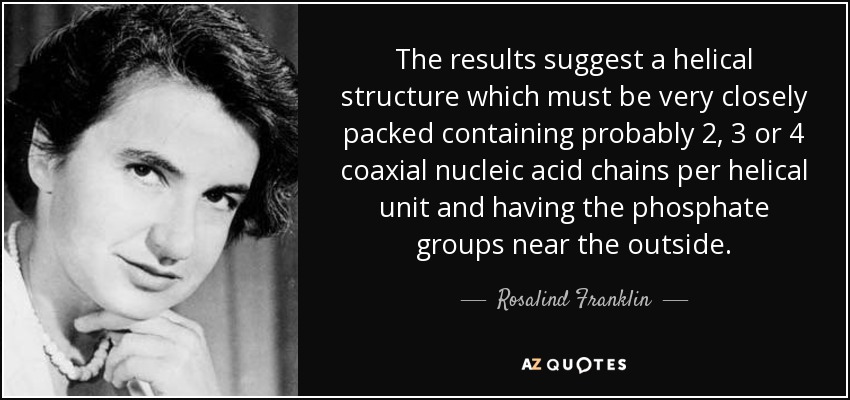 The results suggest a helical structure which must be very closely packed containing probably 2, 3 or 4 coaxial nucleic acid chains per helical unit and having the phosphate groups near the outside. - Rosalind Franklin