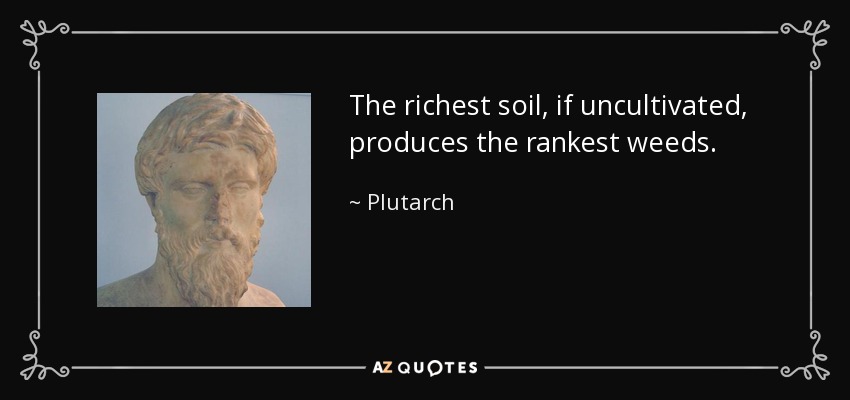 The richest soil, if uncultivated, produces the rankest weeds. - Plutarch