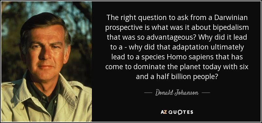 The right question to ask from a Darwinian prospective is what was it about bipedalism that was so advantageous? Why did it lead to a - why did that adaptation ultimately lead to a species Homo sapiens that has come to dominate the planet today with six and a half billion people? - Donald Johanson