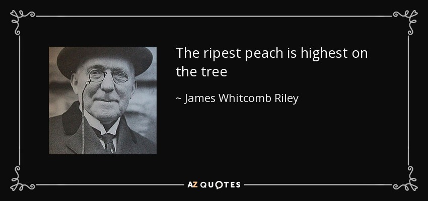 The ripest peach is highest on the tree - James Whitcomb Riley