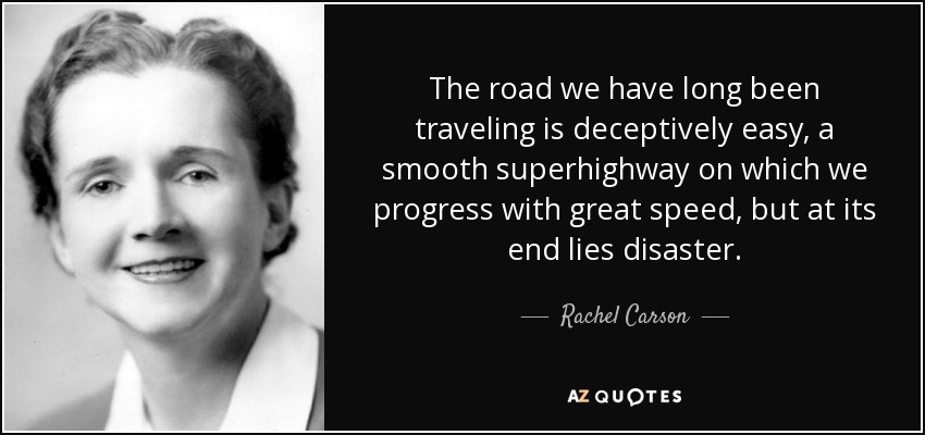The road we have long been traveling is deceptively easy, a smooth superhighway on which we progress with great speed, but at its end lies disaster. - Rachel Carson