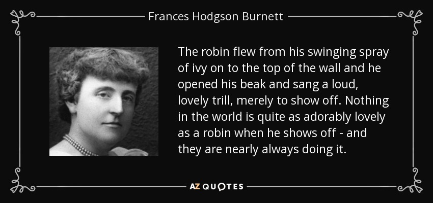 The robin flew from his swinging spray of ivy on to the top of the wall and he opened his beak and sang a loud, lovely trill, merely to show off. Nothing in the world is quite as adorably lovely as a robin when he shows off - and they are nearly always doing it. - Frances Hodgson Burnett