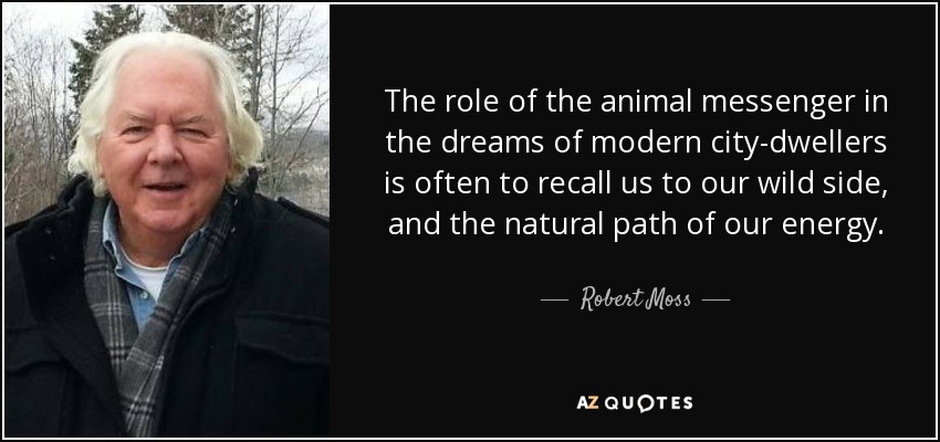 The role of the animal messenger in the dreams of modern city-dwellers is often to recall us to our wild side, and the natural path of our energy. - Robert Moss