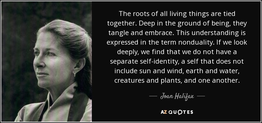 The roots of all living things are tied together. Deep in the ground of being, they tangle and embrace. This understanding is expressed in the term nonduality. If we look deeply, we find that we do not have a separate self-identity, a self that does not include sun and wind, earth and water, creatures and plants, and one another. - Joan Halifax