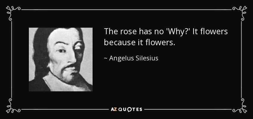 The rose has no 'Why?' It flowers because it flowers. - Angelus Silesius