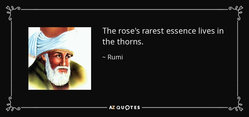 The rose's rarest essence lives in the thorns. - Rumi