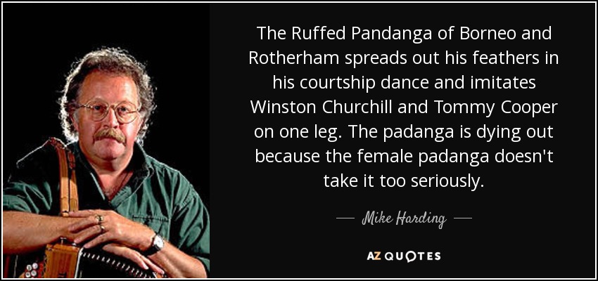 The Ruffed Pandanga of Borneo and Rotherham spreads out his feathers in his courtship dance and imitates Winston Churchill and Tommy Cooper on one leg. The padanga is dying out because the female padanga doesn't take it too seriously. - Mike Harding