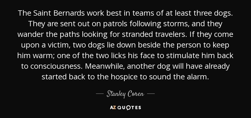 The Saint Bernards work best in teams of at least three dogs. They are sent out on patrols following storms, and they wander the paths looking for stranded travelers. If they come upon a victim, two dogs lie down beside the person to keep him warm; one of the two licks his face to stimulate him back to consciousness. Meanwhile, another dog will have already started back to the hospice to sound the alarm. - Stanley Coren