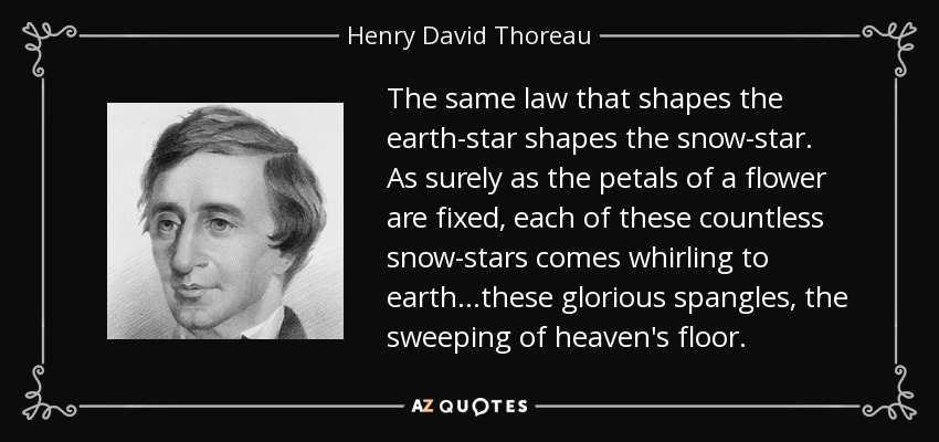 The same law that shapes the earth-star shapes the snow-star. As surely as the petals of a flower are fixed, each of these countless snow-stars comes whirling to earth...these glorious spangles, the sweeping of heaven's floor. - Henry David Thoreau