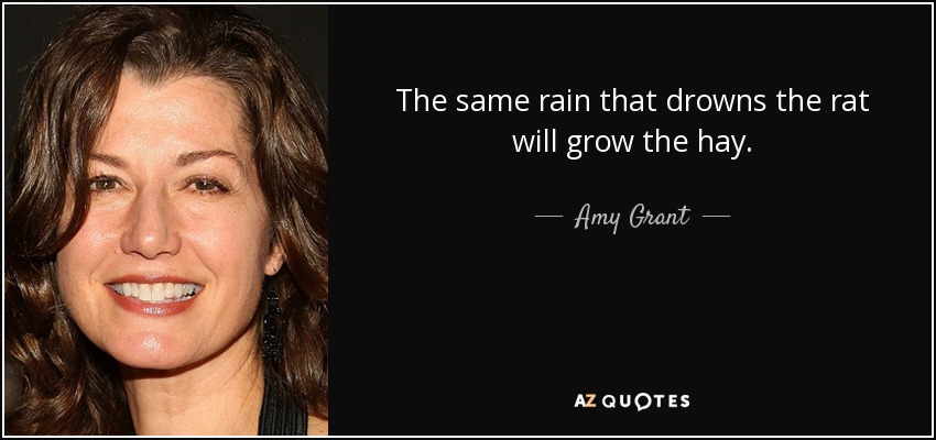 The same rain that drowns the rat will grow the hay. - Amy Grant