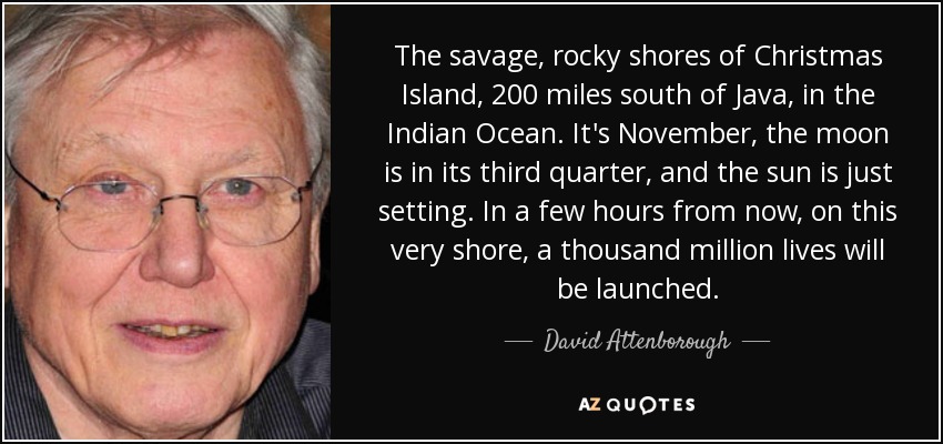 The savage, rocky shores of Christmas Island, 200 miles south of Java, in the Indian Ocean. It's November, the moon is in its third quarter, and the sun is just setting. In a few hours from now, on this very shore, a thousand million lives will be launched. - David Attenborough