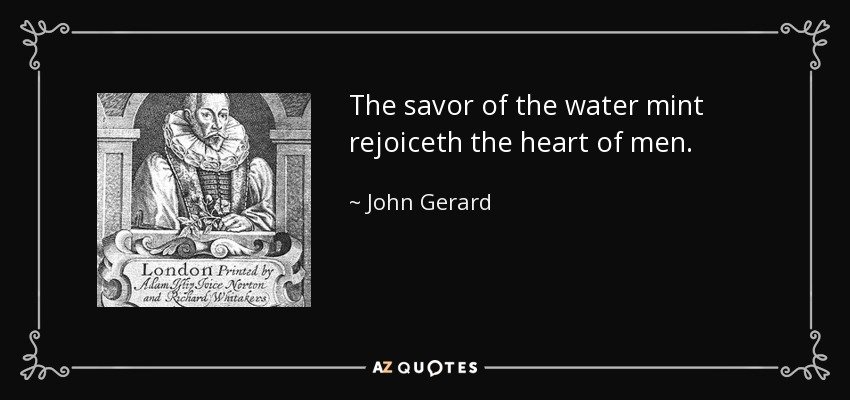 The savor of the water mint rejoiceth the heart of men. - John Gerard