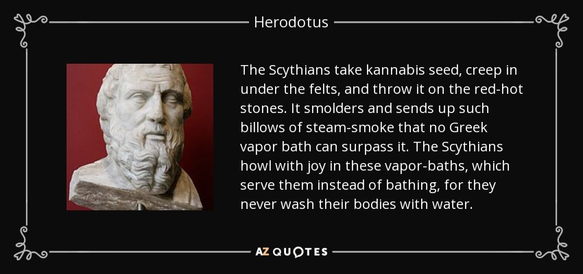 The Scythians take kannabis seed, creep in under the felts, and throw it on the red-hot stones. It smolders and sends up such billows of steam-smoke that no Greek vapor bath can surpass it. The Scythians howl with joy in these vapor-baths, which serve them instead of bathing, for they never wash their bodies with water. - Herodotus