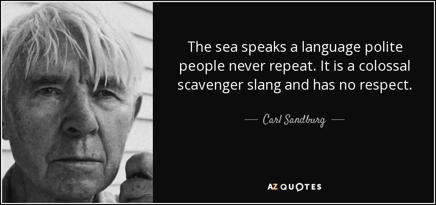 The sea speaks a language polite people never repeat. It is a colossal scavenger slang and has no respect. - Carl Sandburg