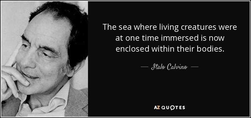 The sea where living creatures were at one time immersed is now enclosed within their bodies. - Italo Calvino