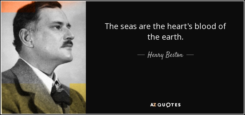 The seas are the heart's blood of the earth. - Henry Beston