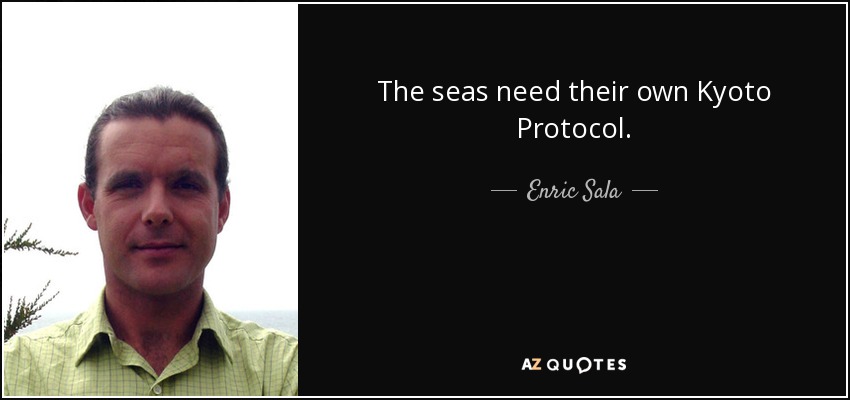 The seas need their own Kyoto Protocol. - Enric Sala