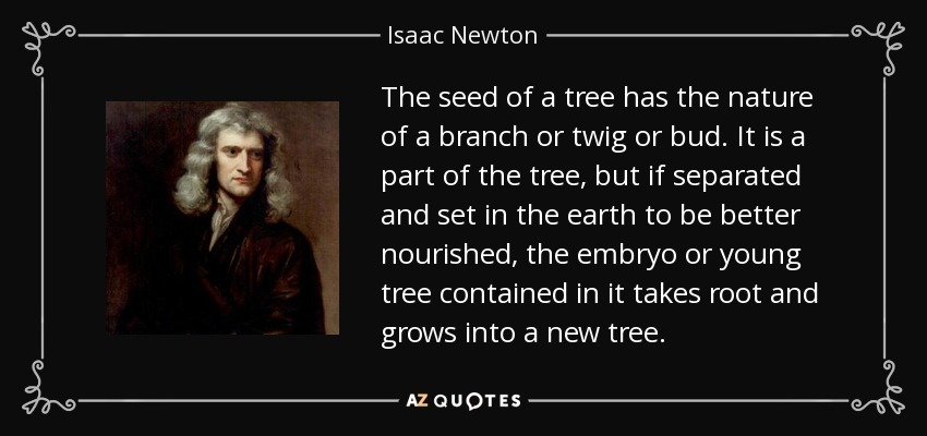 The seed of a tree has the nature of a branch or twig or bud. It is a part of the tree, but if separated and set in the earth to be better nourished, the embryo or young tree contained in it takes root and grows into a new tree. - Isaac Newton