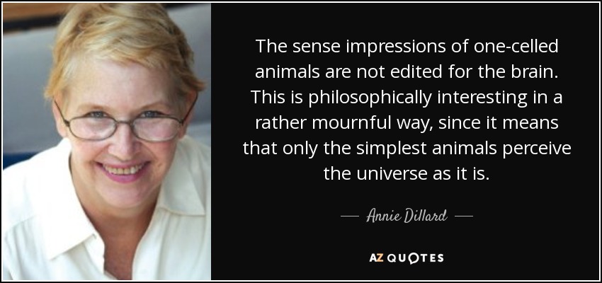 The sense impressions of one-celled animals are not edited for the brain. This is philosophically interesting in a rather mournful way, since it means that only the simplest animals perceive the universe as it is. - Annie Dillard