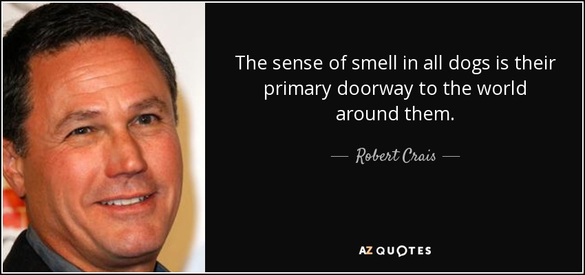 The sense of smell in all dogs is their primary doorway to the world around them. - Robert Crais