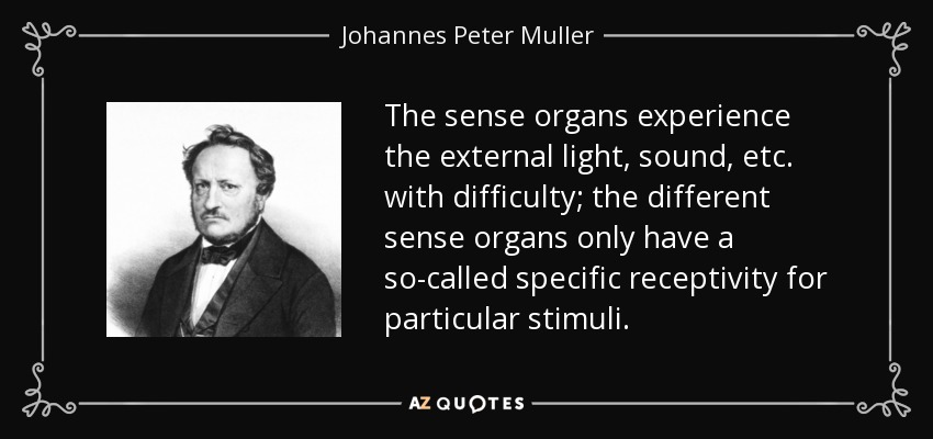 The sense organs experience the external light, sound, etc. with difficulty; the different sense organs only have a so-called specific receptivity for particular stimuli. - Johannes Peter Muller