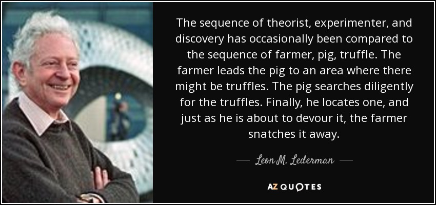 The sequence of theorist, experimenter, and discovery has occasionally been compared to the sequence of farmer, pig, truffle. The farmer leads the pig to an area where there might be truffles. The pig searches diligently for the truffles. Finally, he locates one, and just as he is about to devour it, the farmer snatches it away. - Leon M. Lederman