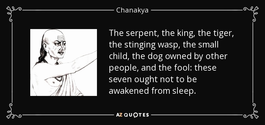 The serpent, the king, the tiger, the stinging wasp, the small child, the dog owned by other people, and the fool: these seven ought not to be awakened from sleep. - Chanakya