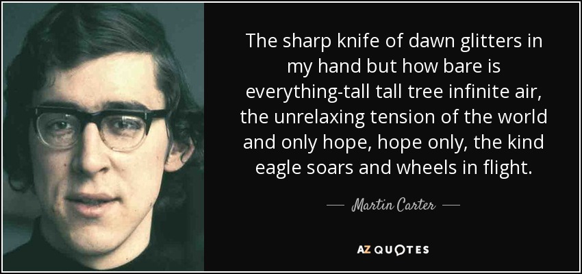 The sharp knife of dawn glitters in my hand but how bare is everything-tall tall tree infinite air, the unrelaxing tension of the world and only hope, hope only, the kind eagle soars and wheels in flight. - Martin Carter