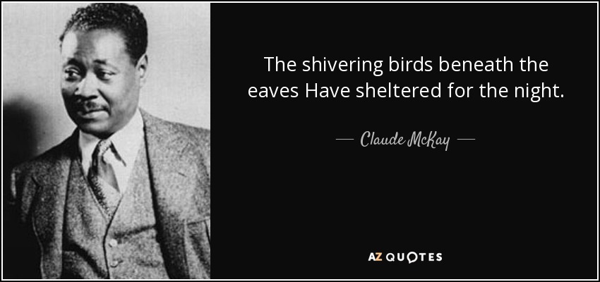 The shivering birds beneath the eaves Have sheltered for the night. - Claude McKay