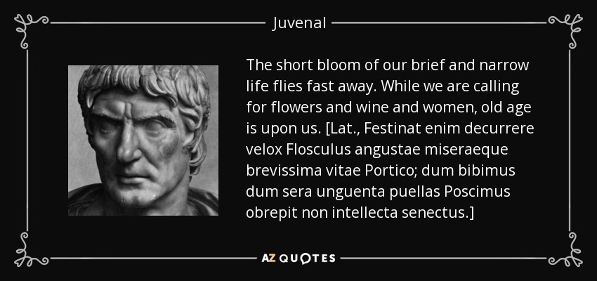 The short bloom of our brief and narrow life flies fast away. While we are calling for flowers and wine and women, old age is upon us. [Lat., Festinat enim decurrere velox Flosculus angustae miseraeque brevissima vitae Portico; dum bibimus dum sera unguenta puellas Poscimus obrepit non intellecta senectus.] - Juvenal