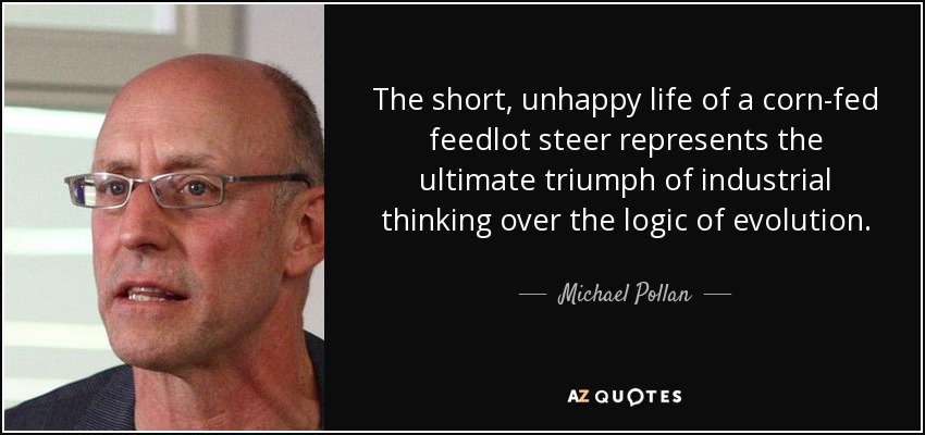 The short, unhappy life of a corn-fed feedlot steer represents the ultimate triumph of industrial thinking over the logic of evolution. - Michael Pollan