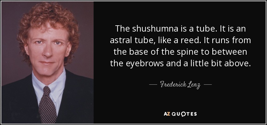 The shushumna is a tube. It is an astral tube, like a reed. It runs from the base of the spine to between the eyebrows and a little bit above. - Frederick Lenz