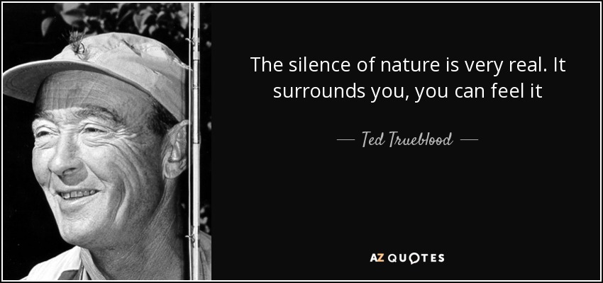 The silence of nature is very real. It surrounds you, you can feel it - Ted Trueblood
