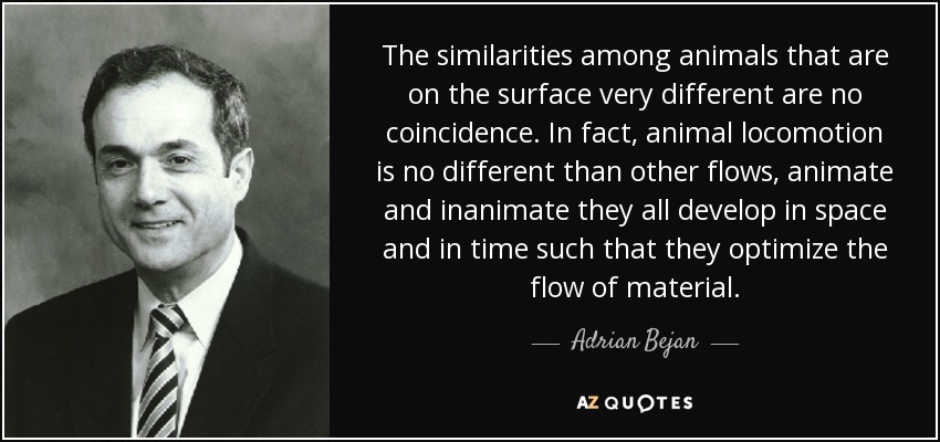 The similarities among animals that are on the surface very different are no coincidence. In fact, animal locomotion is no different than other flows, animate and inanimate they all develop in space and in time such that they optimize the flow of material. - Adrian Bejan