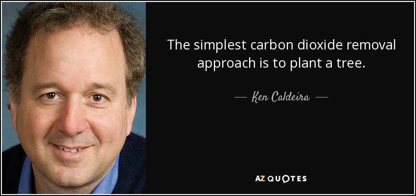 The simplest carbon dioxide removal approach is to plant a tree. - Ken Caldeira