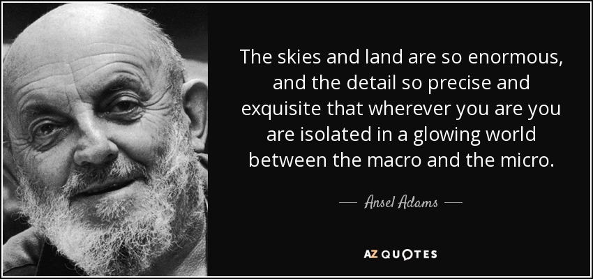 The skies and land are so enormous, and the detail so precise and exquisite that wherever you are you are isolated in a glowing world between the macro and the micro. - Ansel Adams