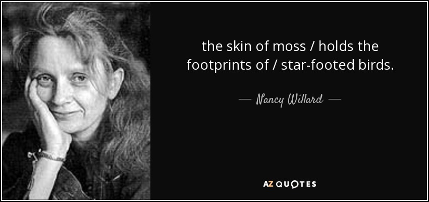 the skin of moss / holds the footprints of / star-footed birds. - Nancy Willard