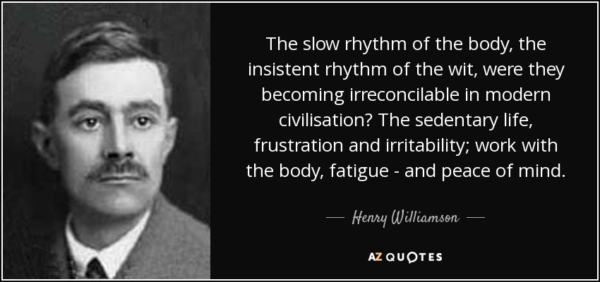 The slow rhythm of the body, the insistent rhythm of the wit, were they becoming irreconcilable in modern civilisation? The sedentary life, frustration and irritability; work with the body, fatigue - and peace of mind. - Henry Williamson