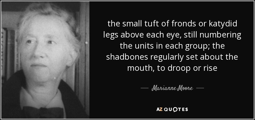 the small tuft of fronds or katydid legs above each eye, still numbering the units in each group; the shadbones regularly set about the mouth, to droop or rise - Marianne Moore