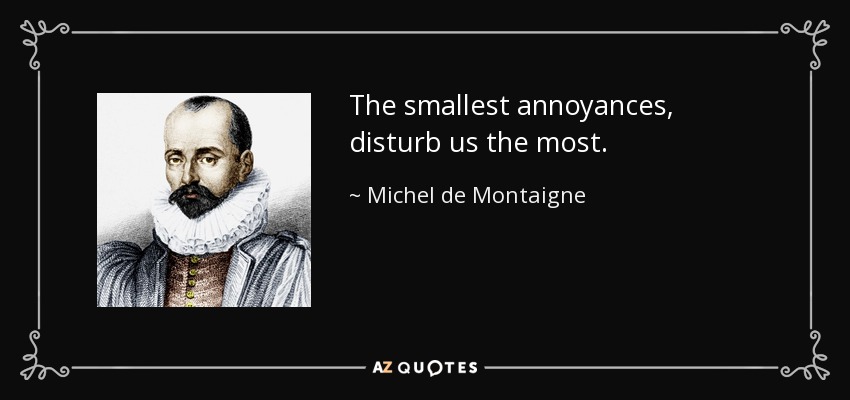 The smallest annoyances, disturb us the most. - Michel de Montaigne