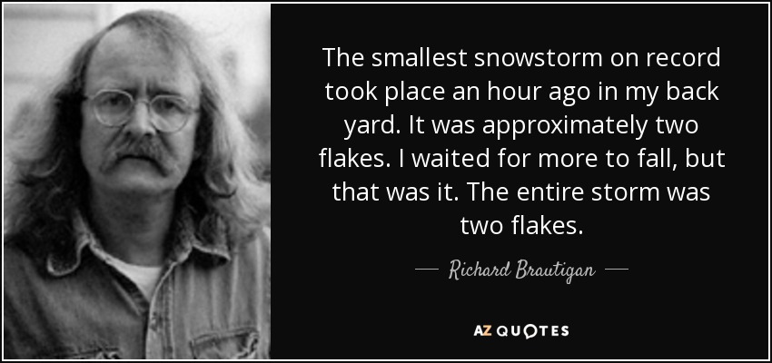 The smallest snowstorm on record took place an hour ago in my back yard. It was approximately two flakes. I waited for more to fall, but that was it. The entire storm was two flakes. - Richard Brautigan